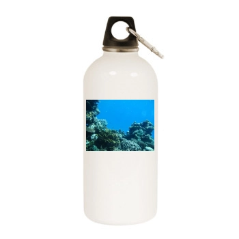 Underwater World White Water Bottle With Carabiner