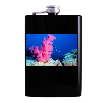 Underwater World Hip Flask