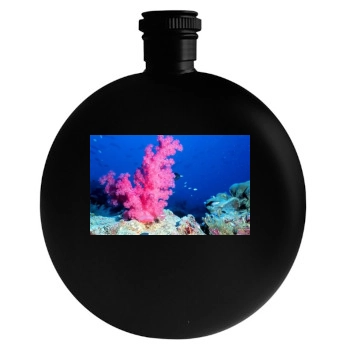 Underwater World Round Flask