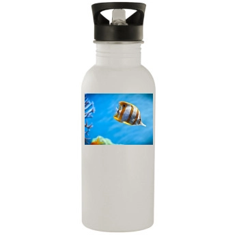 Underwater World Stainless Steel Water Bottle