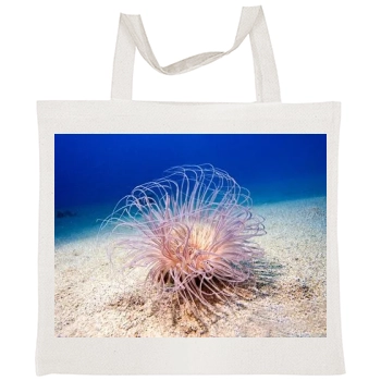 Underwater World Tote