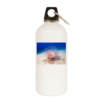 Underwater World White Water Bottle With Carabiner