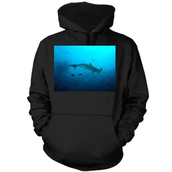 Underwater World Mens Pullover Hoodie Sweatshirt