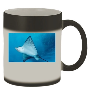 Underwater World Color Changing Mug