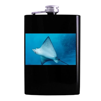 Underwater World Hip Flask