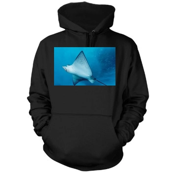 Underwater World Mens Pullover Hoodie Sweatshirt