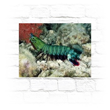 Underwater World Metal Wall Art