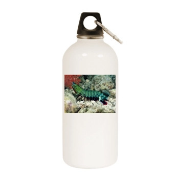 Underwater World White Water Bottle With Carabiner