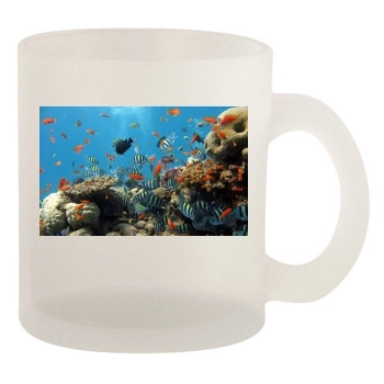 Underwater World 10oz Frosted Mug