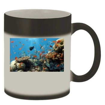 Underwater World Color Changing Mug