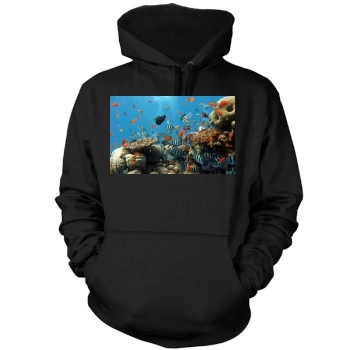 Underwater World Mens Pullover Hoodie Sweatshirt