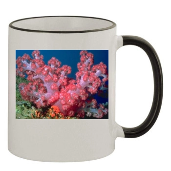 Underwater World 11oz Colored Rim & Handle Mug