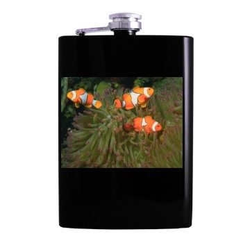 Underwater World Hip Flask