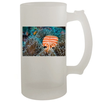 Underwater World 16oz Frosted Beer Stein