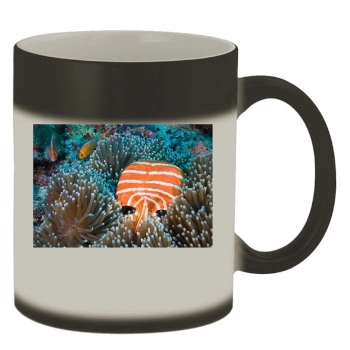 Underwater World Color Changing Mug