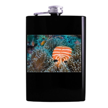 Underwater World Hip Flask