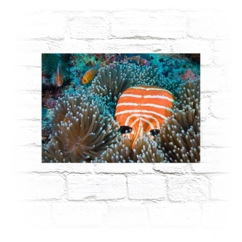 Underwater World Metal Wall Art