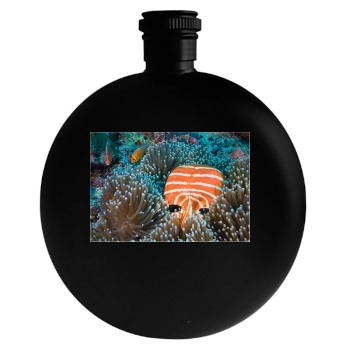 Underwater World Round Flask