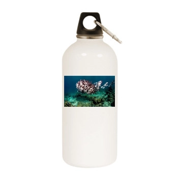 Underwater World White Water Bottle With Carabiner