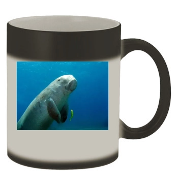 Underwater World Color Changing Mug