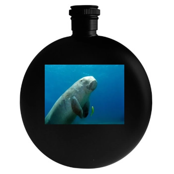 Underwater World Round Flask