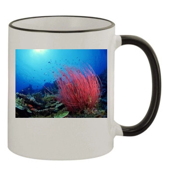 Underwater World 11oz Colored Rim & Handle Mug