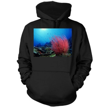 Underwater World Mens Pullover Hoodie Sweatshirt