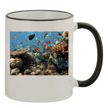 Underwater World 11oz Colored Rim & Handle Mug