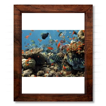 Underwater World 14x17