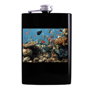 Underwater World Hip Flask