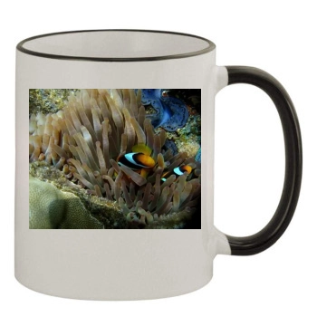 Underwater World 11oz Colored Rim & Handle Mug