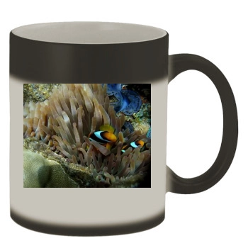 Underwater World Color Changing Mug