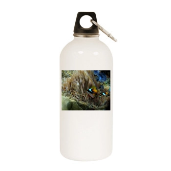 Underwater World White Water Bottle With Carabiner