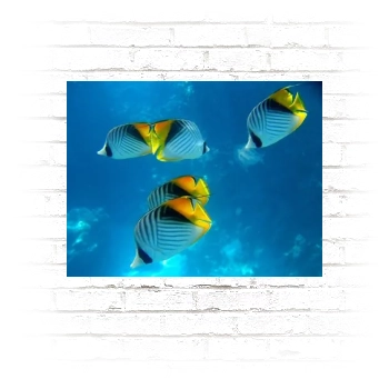 Underwater World Poster