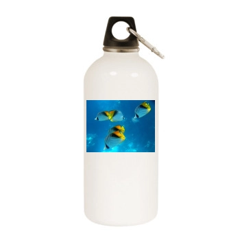 Underwater World White Water Bottle With Carabiner