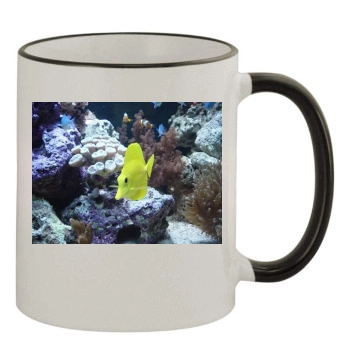 Underwater World 11oz Colored Rim & Handle Mug