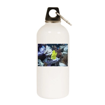 Underwater World White Water Bottle With Carabiner