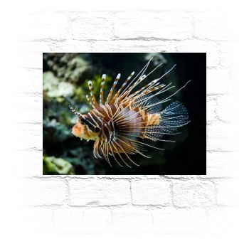 Underwater World Metal Wall Art