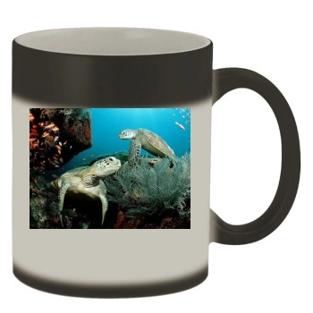 Underwater World Color Changing Mug