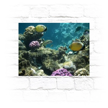 Underwater World Metal Wall Art