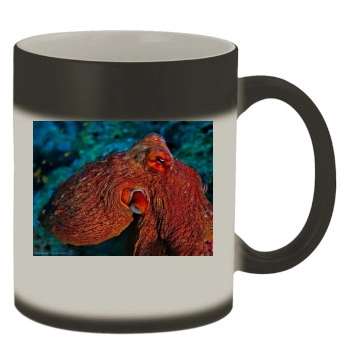 Underwater World Color Changing Mug