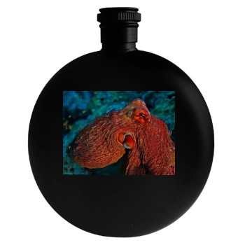 Underwater World Round Flask