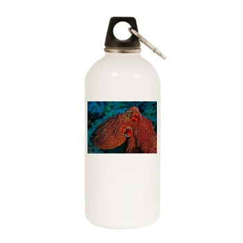 Underwater World White Water Bottle With Carabiner