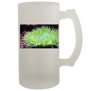 Underwater World 16oz Frosted Beer Stein