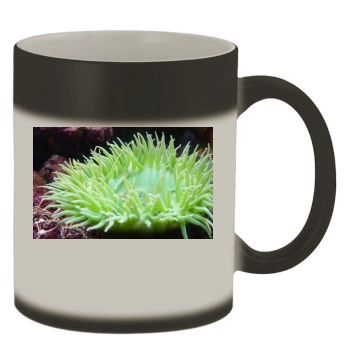 Underwater World Color Changing Mug