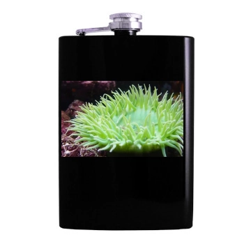 Underwater World Hip Flask