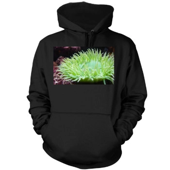 Underwater World Mens Pullover Hoodie Sweatshirt