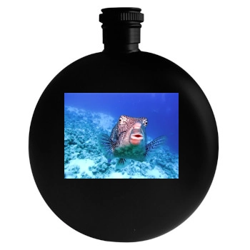 Underwater World Round Flask