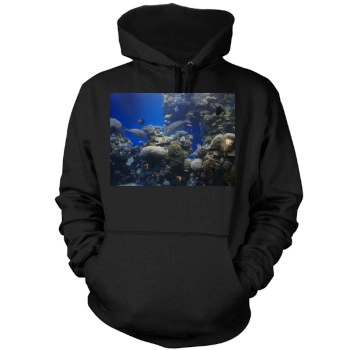 Underwater World Mens Pullover Hoodie Sweatshirt