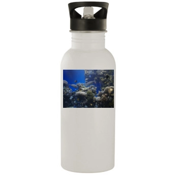 Underwater World Stainless Steel Water Bottle